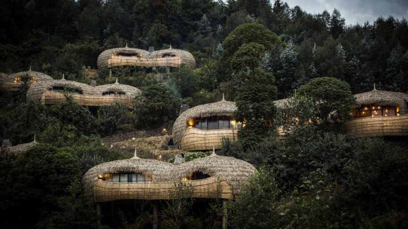 Bisate Lodge dans le parc des volcans - Rwanda | Au Tigre Vanillé