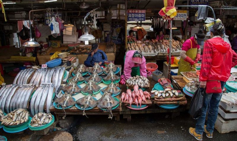 Marché aux poissons de Jagalchi - Corée du Sud | Au Tigre Vanillé