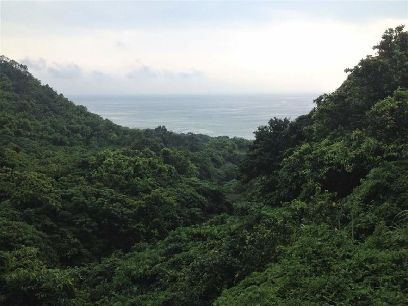 Randonnée sur le Caoling Trail - Taïwan | Au Tigre Vanillé
