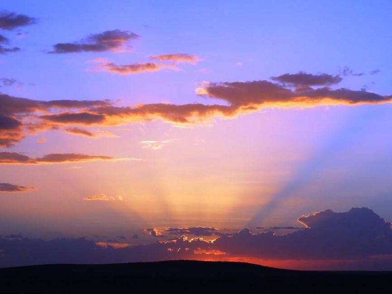 Coucher de soleil dans le parc du Serengeti - Tanzanie | Au Tigre Vanillé