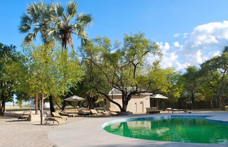 Piscine d'un camp d'état dans la réserve d'Etosha - Namibie | Au Tigre Vanillé