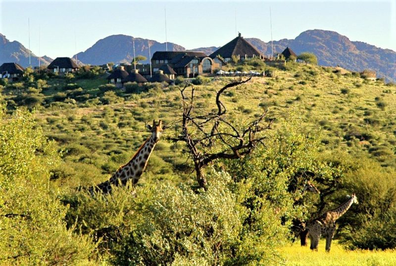 Girafe devant l'hotel Gocheganas à Windhoek - Namibie | Au Tigre Vanillé