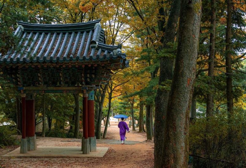Parc Mudeungsan à Gwangju - Corée du Sud | Au Tigre Vanillé