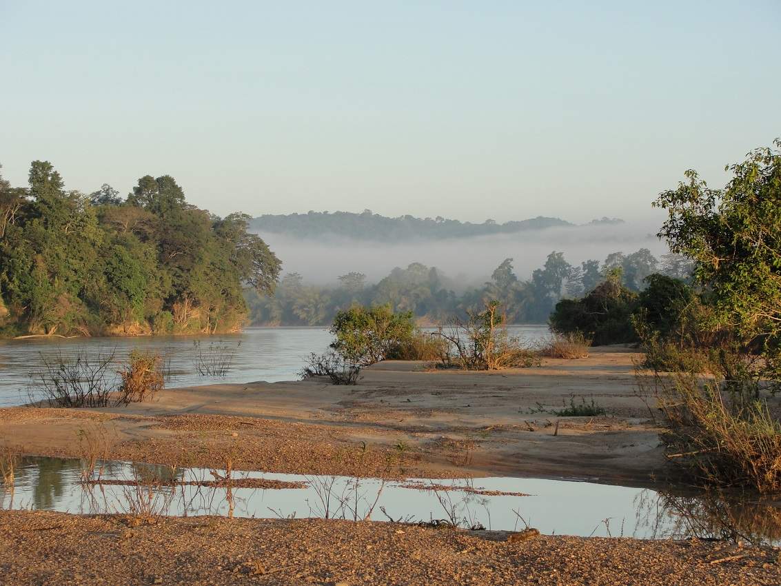 Jungle du Ratanakiri - Cambodge | Au Tigre Vanillé