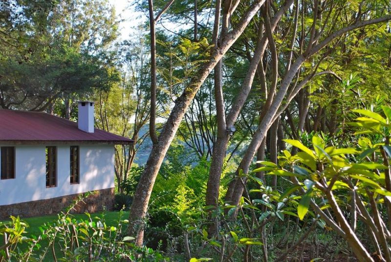 Plantation Lodge au cratère du Ngorongoro - Tanzanie | Au Tigre Vanillé