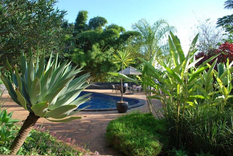 Piscine du Plantation Lodge - Tanzanie | Au Tigre Vanillé