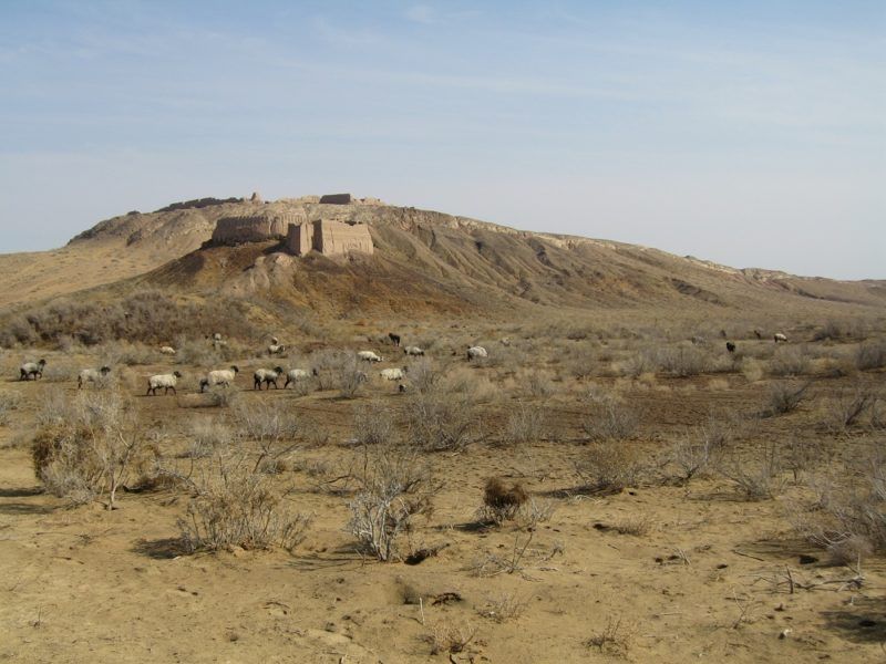 Découverte de vestiges historiques à Khiva - Ouzbékistan | Au Tigre Vanillé