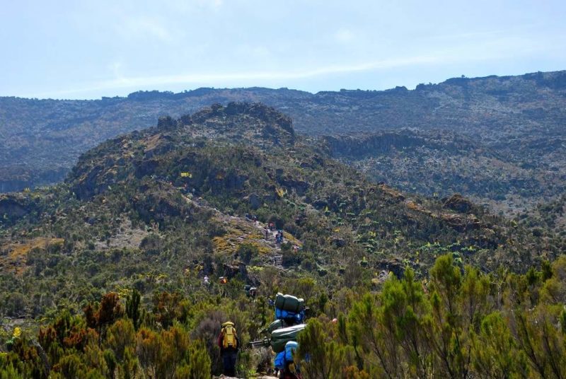 Ascension du mont Kilimandjaro par la voie Machame - Tanzanie | Au Tigre Vanillé
