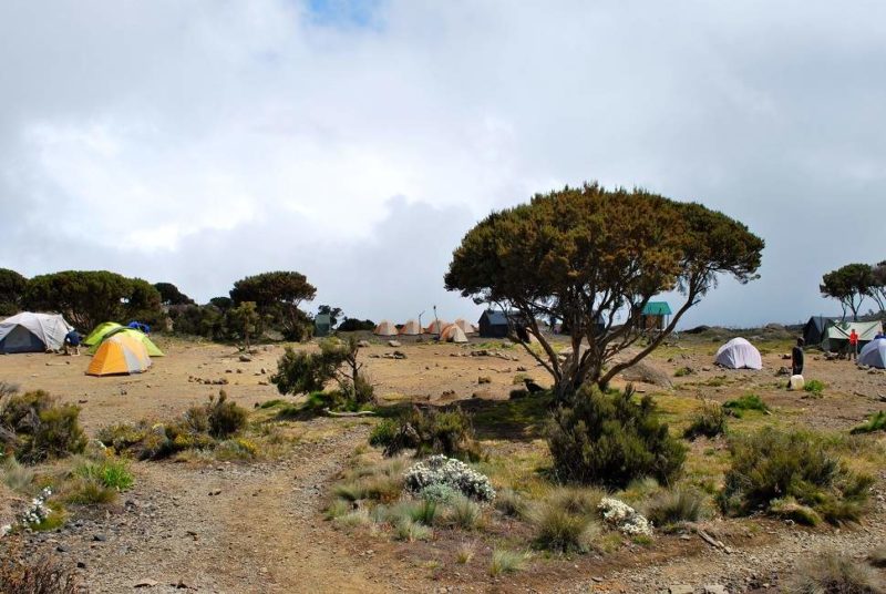 Camp de tente sur la voie Machame en chemin vers le mont Kilimandjaro - Tanzanie | Au Tigre Vanillé