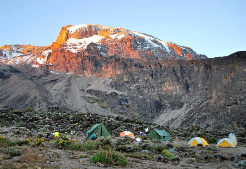 Camp au pied du mont Kilimandjaro - Tanzanie | Au Tigre Vanillé
