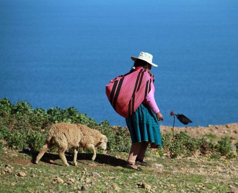 Uros sur le lac Titicaca, voyage en groupe - La grande odysée des Andes | Au Tigre Vanillé