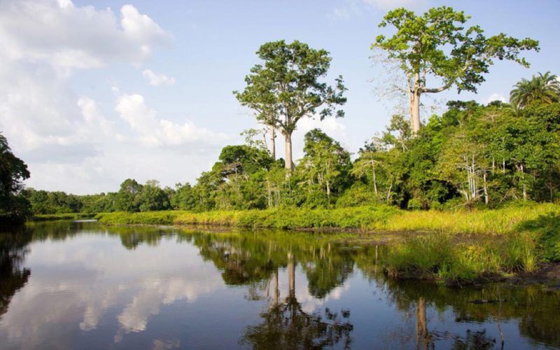 Navigation sur la rivière Lekoli - Congo | Au Tigre Vanillé