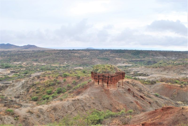 Gorge geologique de Olduvai - Tanzanie | Au Tigre Vanillé