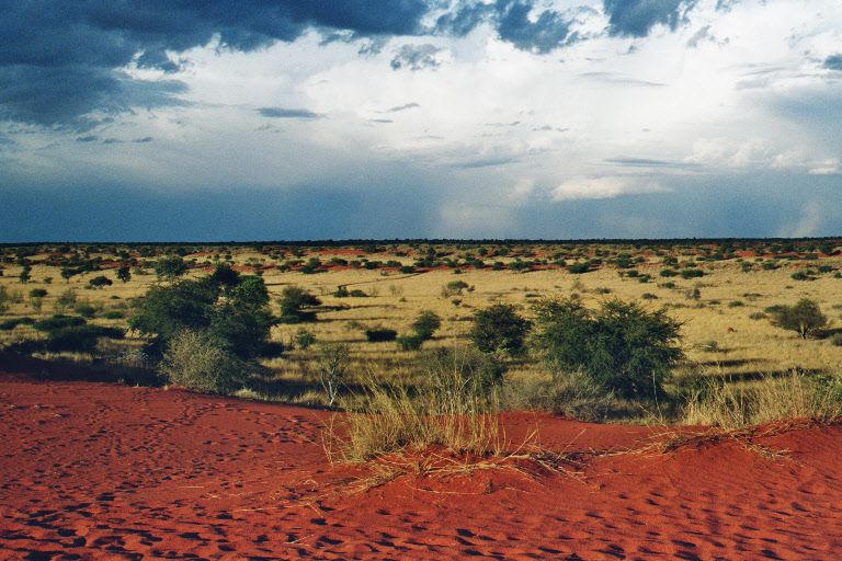 Paysage ocre et aride du Marienthal - Namibie | Au Tigre Vanillé