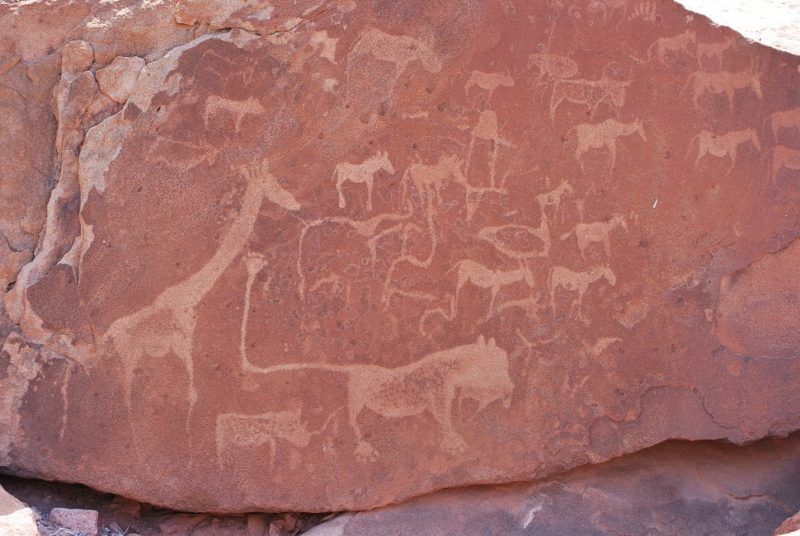Peinture rupestre de Twyfelfontein dans le Damaraland - Namibie | Au Tigre Vanillé