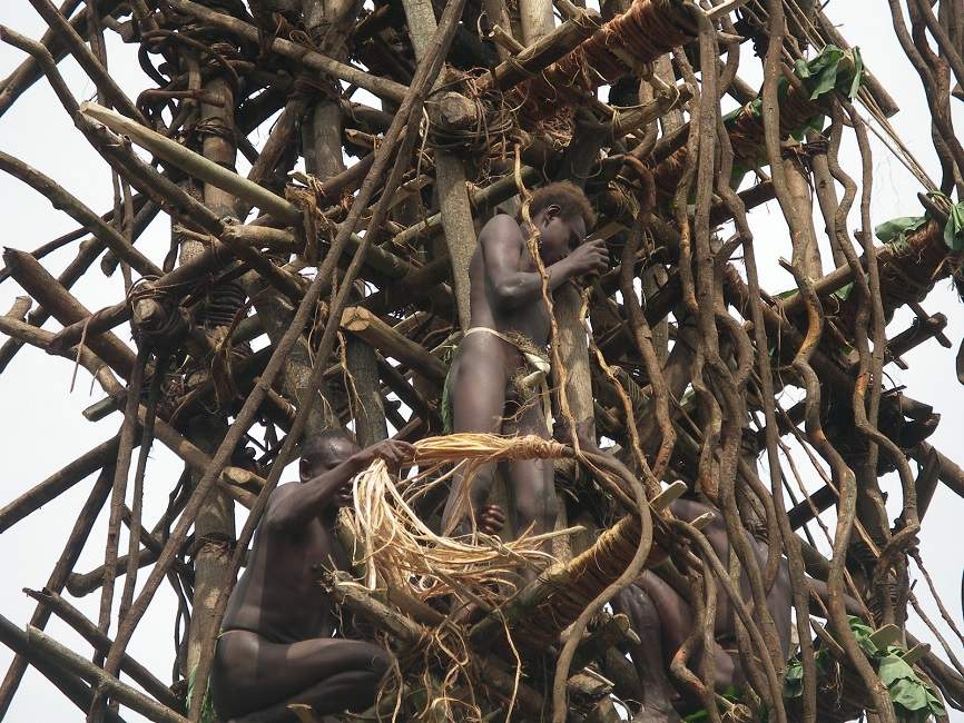 pentecote-saut-gaul-vanuatu Assister au saut du gaul sur l'île de Pentecôte - Vanuatu | Au Tigre Vanillé