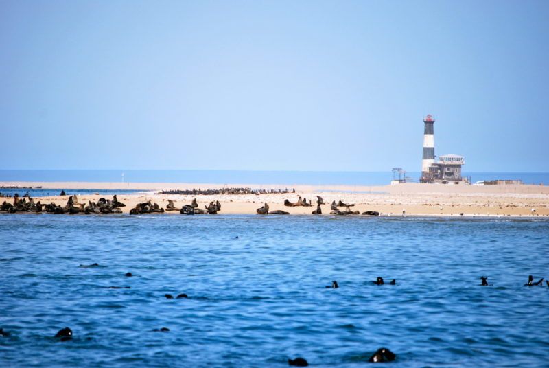 phare-otaries-swakopmund-namibie Phare de Swakopmund - Namibie | Au Tigre Vanillé