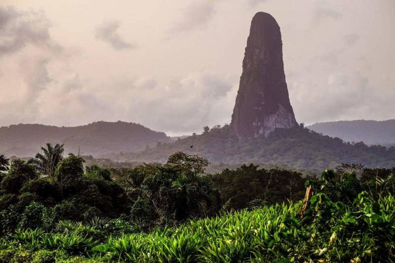 Randonnée dans le parc national Obo - Sao Tomé-et-Principe | Au Tigre Vanillé