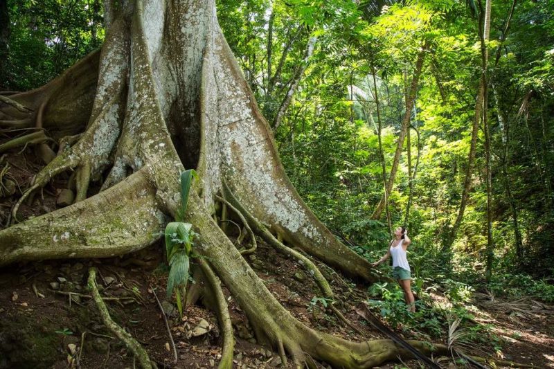 Balade pour explorer l'île de Principe - Sao Tomé-et-Principe | Au Tigre Vanillé