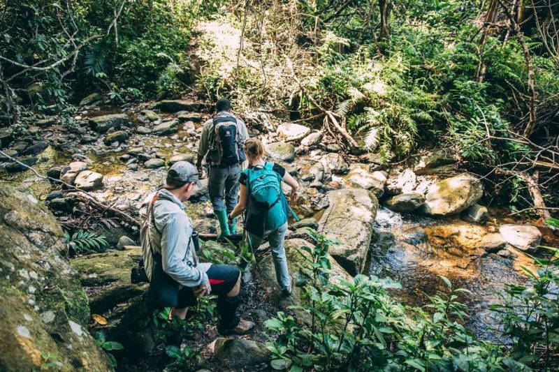 randonnee-riviere-foret-mahale-tanzanie Randonnée dans le parc des Monts de Mahale - Tanzanie | Au Tigre Vanillé