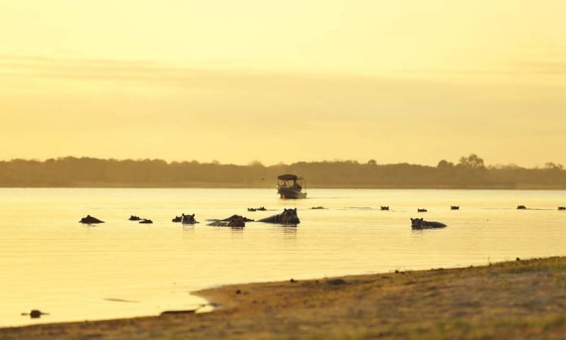 Safari en bateau dans la réserve de Selous - Tanzanie | Au Tigre Vanillé