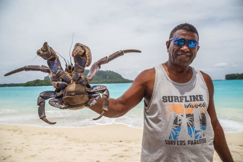 Crabe sur Champagne beach - Vanuatu | Au Tigre Vanillé