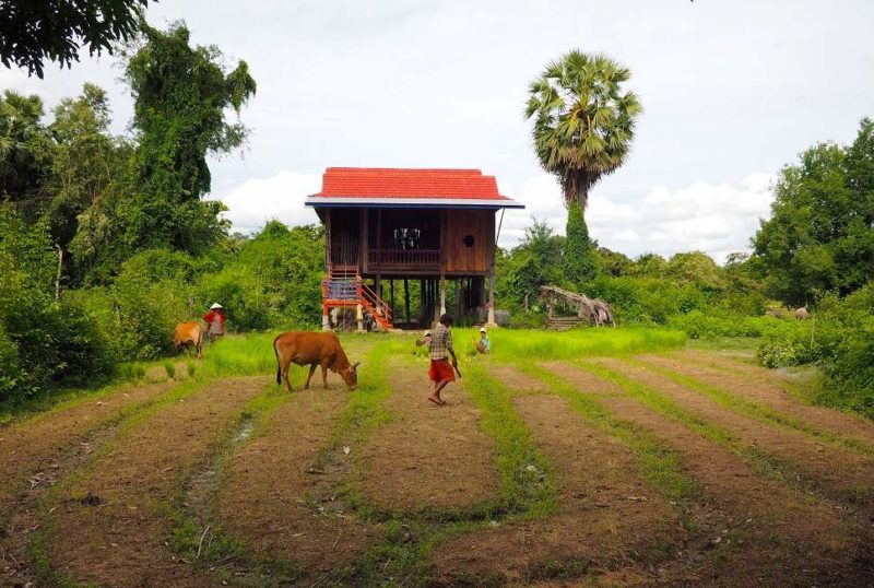Village de tisserands de la soie de Koh Dach vers Phnom Penh - Cambodge | Au Tigre Vanillé