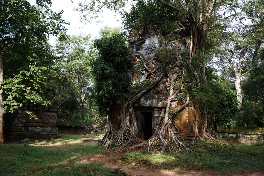 soir-ruines-koh-ker Lumière de fin de journée sur les ruines de Koh Ker - Cambodge | Au Tigre Vanillé