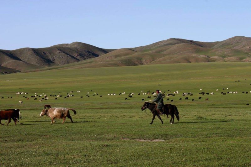 steppes-chevaux-vallee-orkhon-mongolie Nomade sur son cheval dans la vallée de l'Orkhon - Mongolie | Au Tigre Vanillé