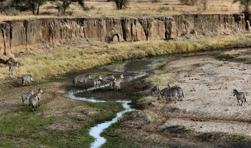 Survol en montgolfière du parc de Tarangire - Tanzanie | Au Tigre Vanillé