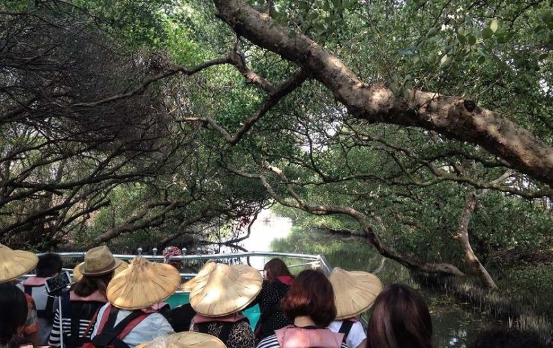 Navigation dans les mangroves de Tainan - Taïwan | Au Tigre Vanillé