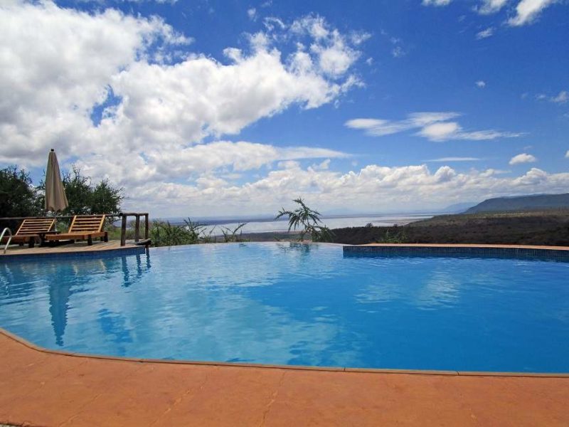 Pisicne de l'Escarpment Luxury Lodge dans le parc du lac Manyara - Tanzanie | Au Tigre Vanillé