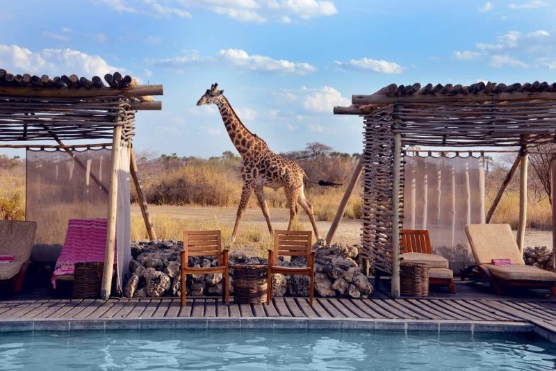 Piscine du Chem Chem Lodge - Tanzanie | Au Tigre Vanillé