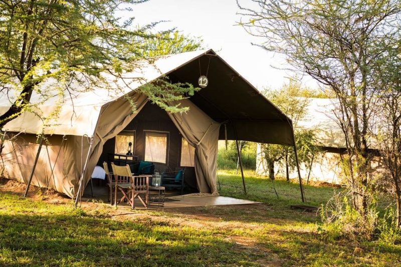 Tente du Ronjo Camp dans le Serengeti - Tanzanie | Au Tigre Vanillé