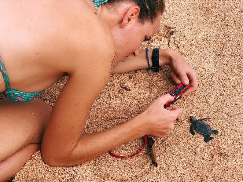 Rencontre avec les tortues de la plage Jale - Sao Tomé-et-Principe | Au Tigre Vanillé