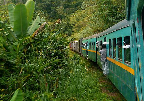 Prendre le train de Fianarantsoa à Manakara - Madagascar | Au Tigre Vanillé