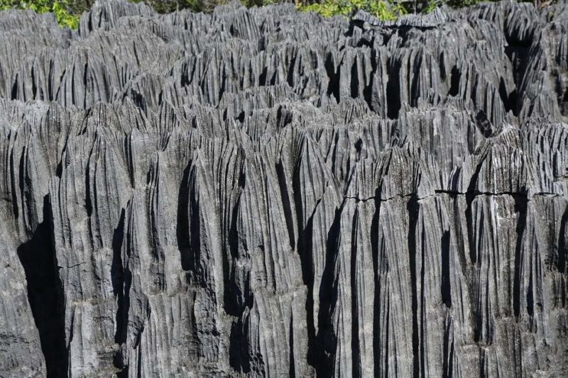 Visite du parc national Tsingy de Bemaraha - Madagascar | Au Tigre Vanillé