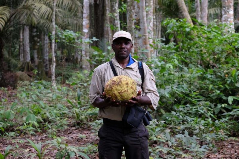 visite-guide-ile-principe Visite guidée de l'île de Principe - Sao Tomé-et-Principe | Au Tigre Vanillé