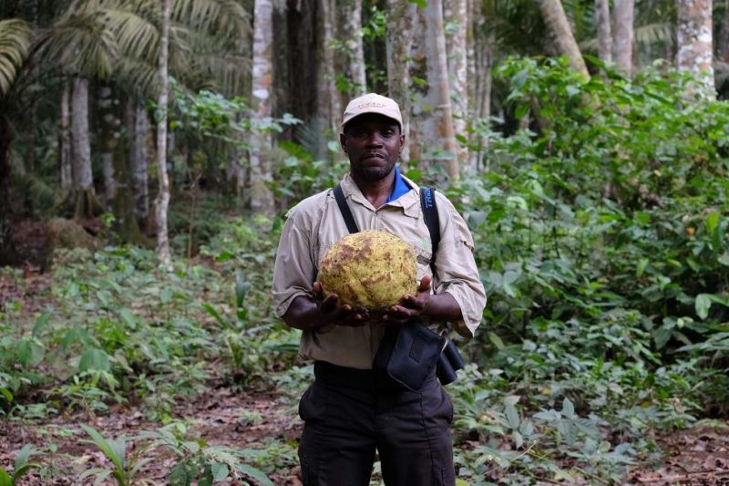 Visite guidée de l'île de Principe - Sao Tomé-et-Principe | Au Tigre Vanillé