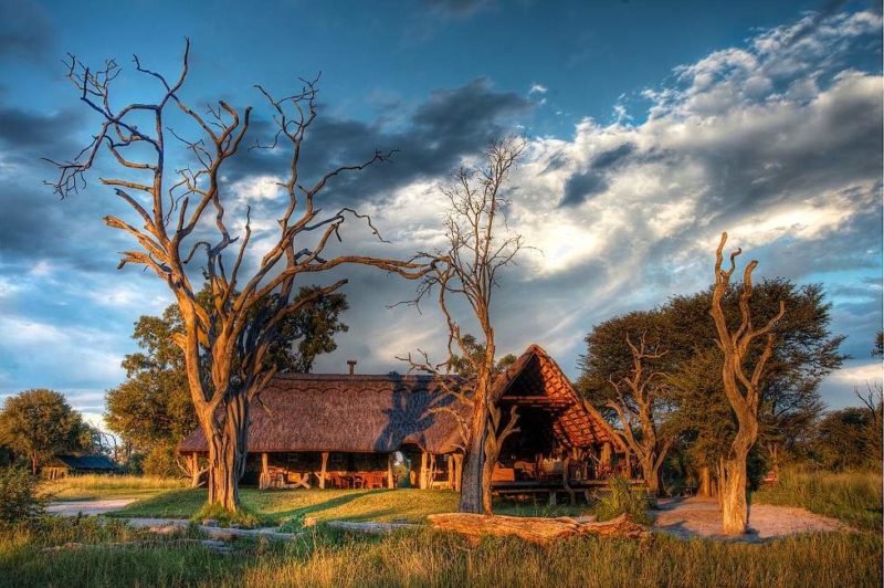 Bomani Tented Lodge dans le parc de Hwange - Zimbabwe | Au Tigre Vanillé