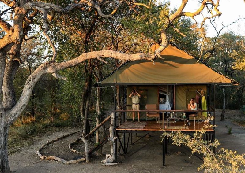 Nuit au Bomani Tented Lodge - Zimbabwe | Au Tigre Vanillé