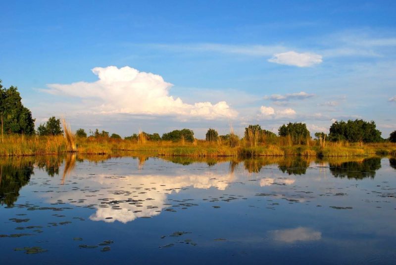 Balade en mokoro sur le delta de l'Okavango - Botswana | Au Tigre Vanillé