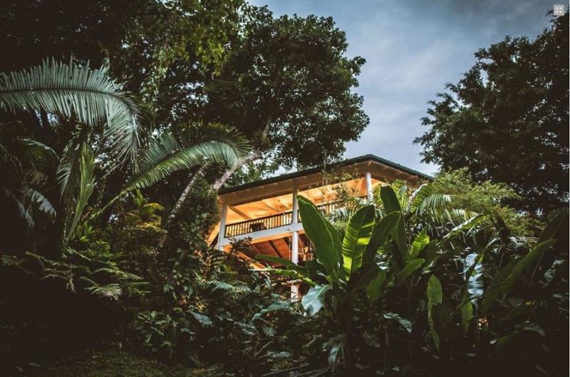 Copal Tree Lodge - Belize | Au Tigre Vanillé