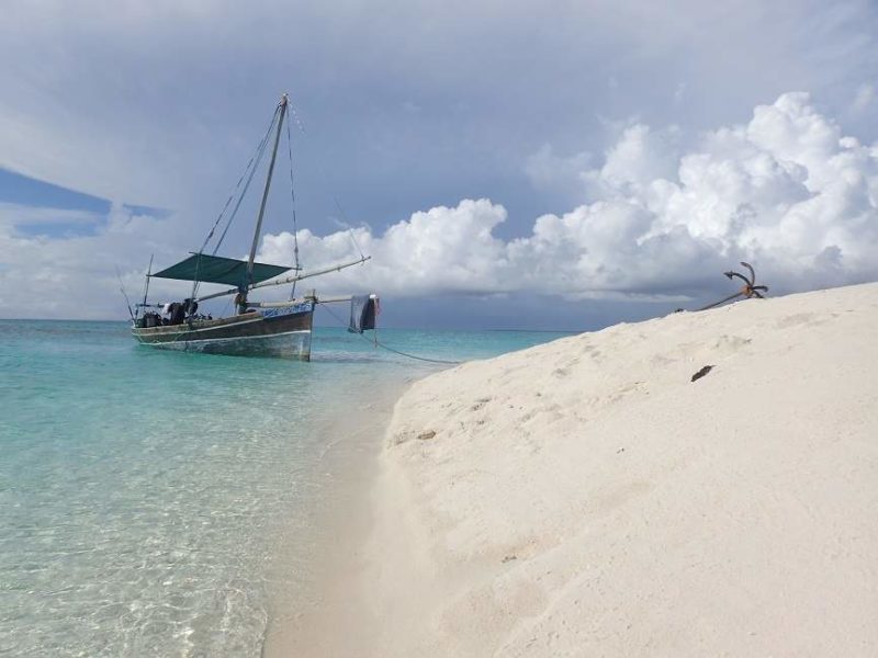 Excursion en bateau au large de l'île de Mafia - Tanzanie | Au Tigre Vanillé