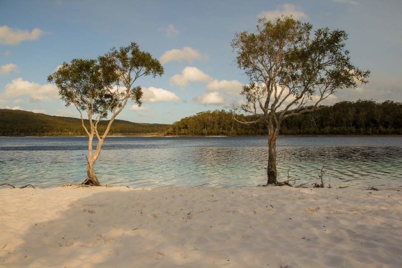 fraserisland-queensland-australie Découverte de l'île Fraser - Australie | Au Tigre Vanillé