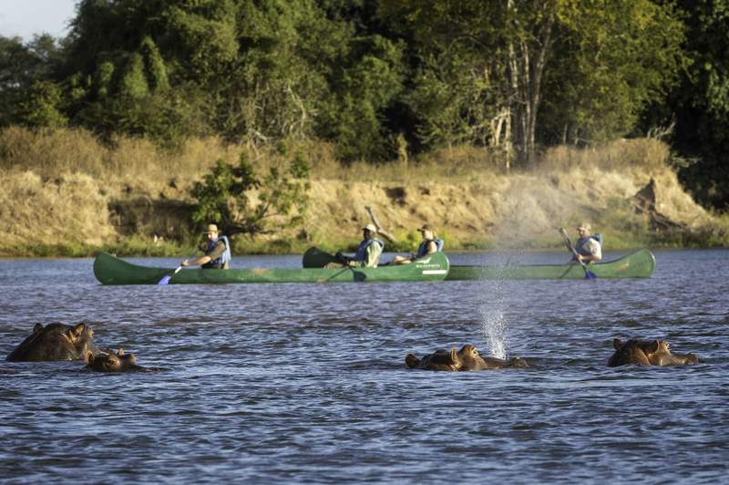 Safari en canoë dans le parc de Mana Pools - Zimbabwe | Au Tigre Vanillé