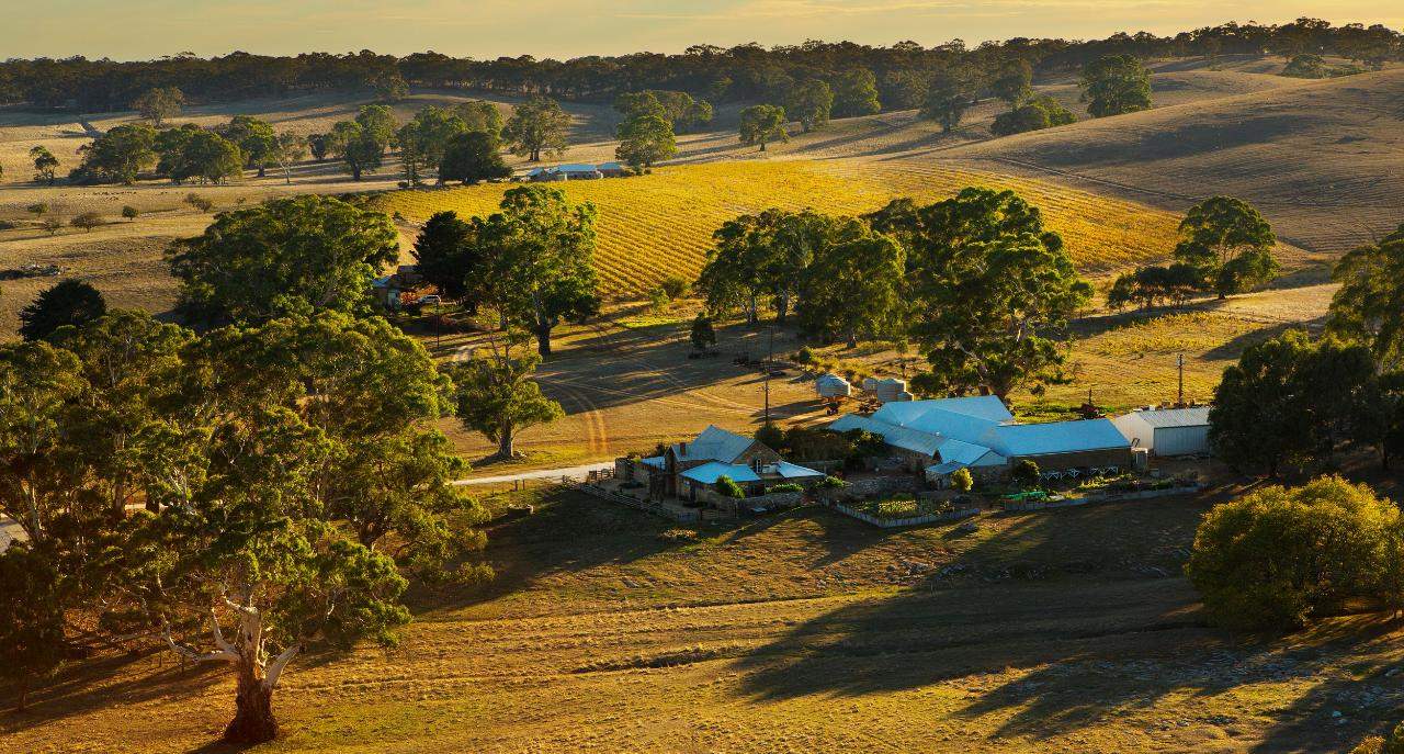 Vin et gastronomie dans la vallée de Barossa - Australie | Au Tigre Vanillé