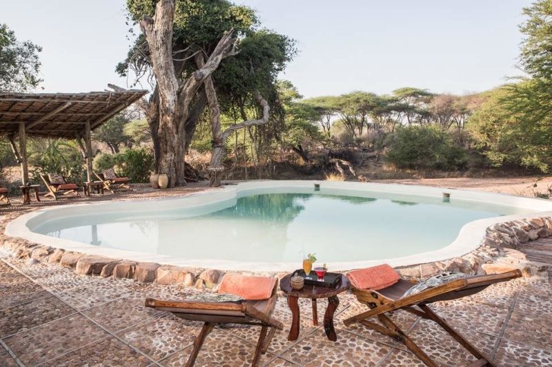 Piscine de l'hôtel Jongomero - Tanzanie | Au Tigre Vanillé