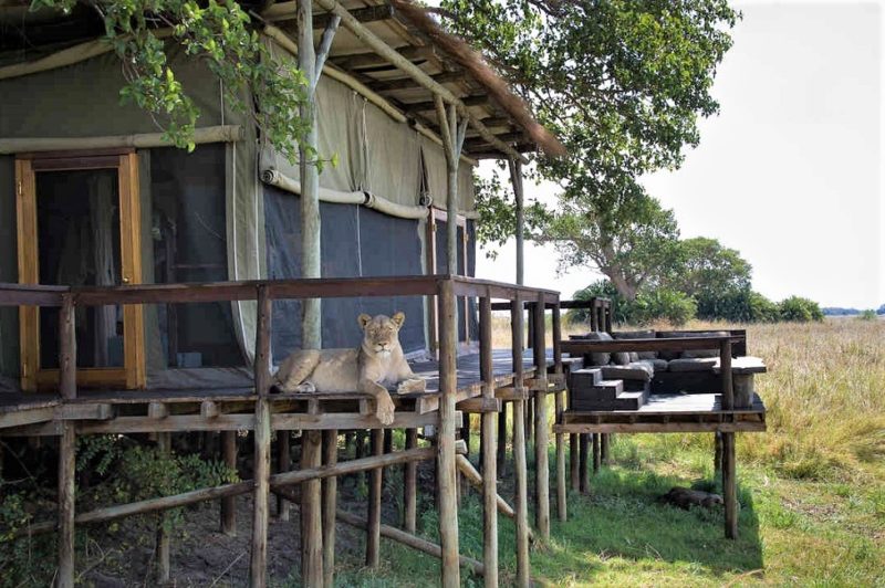 Tente sur pilotis du camp de Shumba à Kafue - Zambie | Au Tigre Vanillé