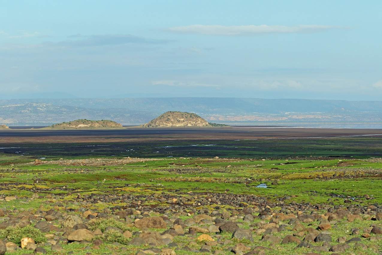 Découverte du lac Natron - Tanzanie | Au Tigre Vanillé